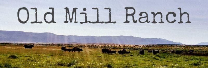 Old Mill Ranch — pasture-raised beef in Mount Pleasant, UT