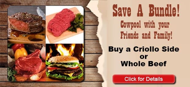 American Criollo Beef Alliance — pasture-raised beef in Winters, TX
