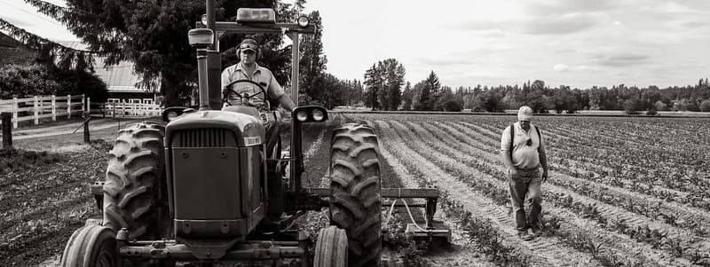 Andrew's Hay — pasture-raised beef in Arlington, WA