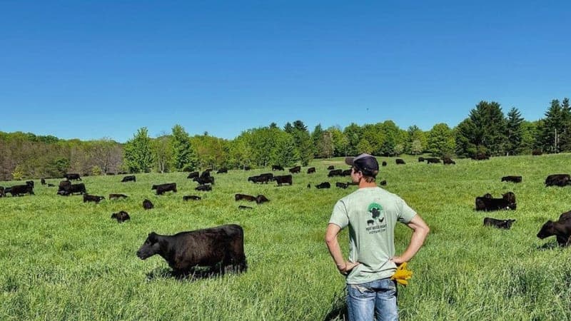 Apsey Farms — pasture-raised beef in Reed City, MI