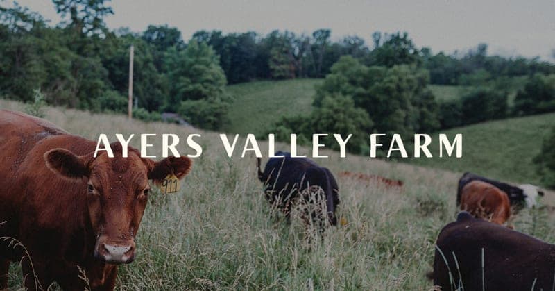 Ayers Valley Farm — pasture-raised beef in Russellville, OH