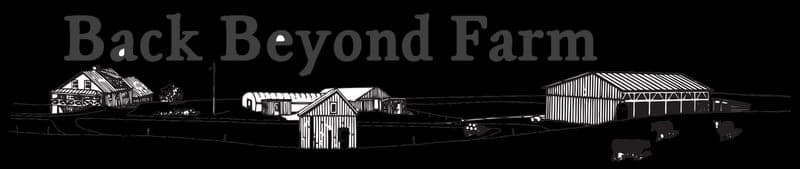 Back Beyond Farm — pasture-raised beef in Chelsea, VT