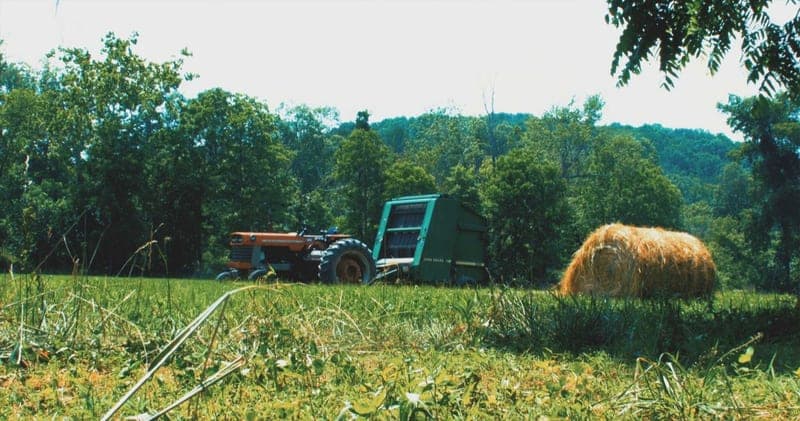 Back Creek Bend Farm — pasture-raised beef in Hedgesville, WV