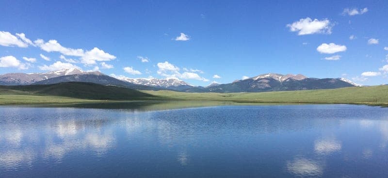 Bar Star Ranch — pasture-raised beef in Como, CO