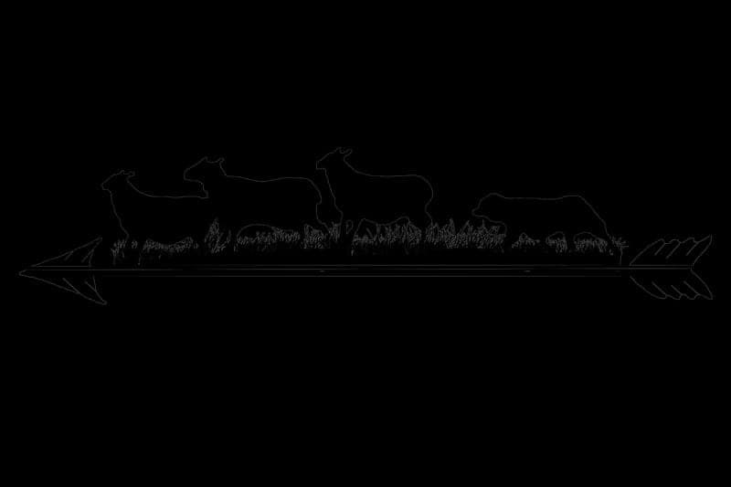 Bean Hollow Grassfed — pasture-raised beef in VA