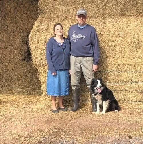 Beulah Land Jerseys — pasture-raised beef in Jonestown, PA
