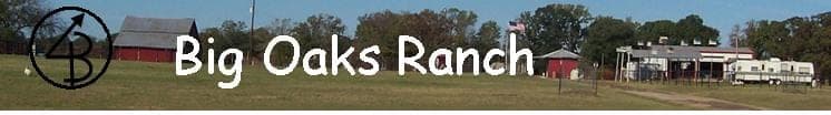 Big Oaks Ranch — pasture-raised beef in Kilgore, TX