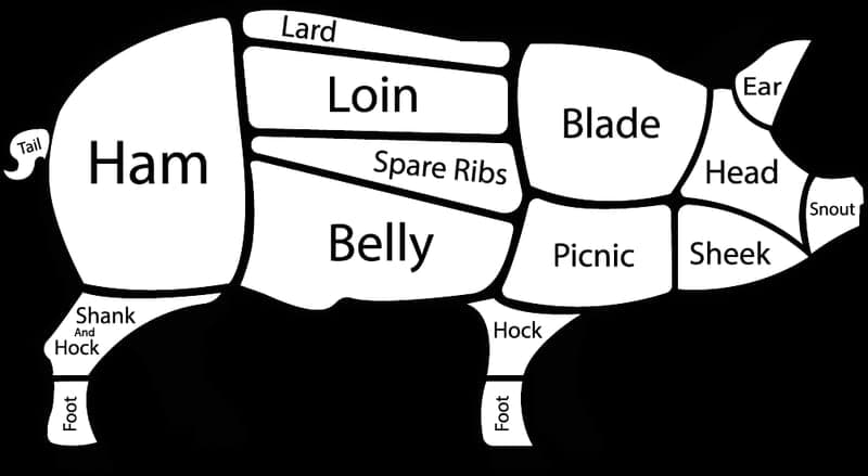 Black Hills Beef — pasture-raised beef in Spearfish, SD