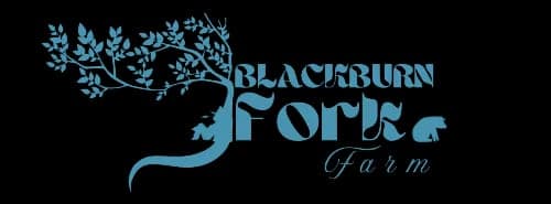 Blackburn Fork Farm — pasture-raised beef in Oneonta, AL