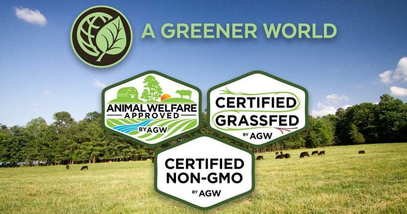 Blue Bear Farm & Cattle Co., LLC — pasture-raised beef in FL