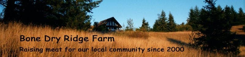 Bone Dry Ridge Farm — pasture-raised beef in Rochester, WA