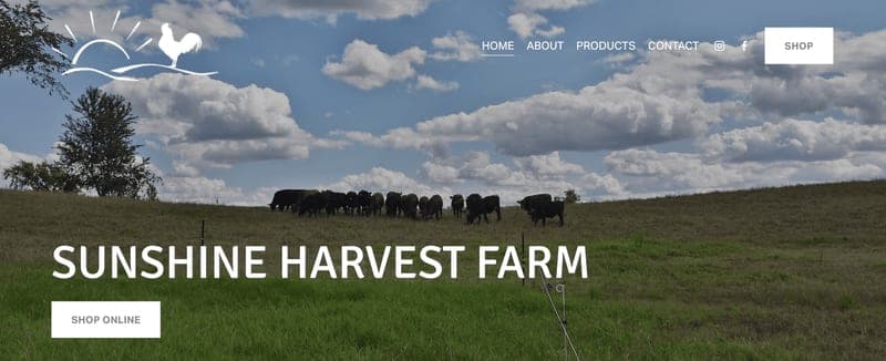 Braucher’s Sunshine Harvest Farm — pasture-raised beef in Webster, MN