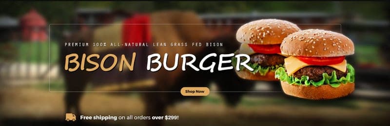 Buffalo Gal/Money Creek Buffalo Ranch — pasture-raised beef in Houston, MN