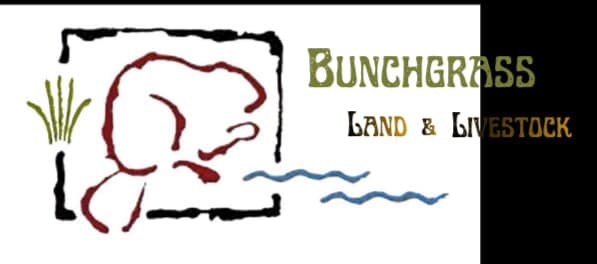 Bunchgrass Land & Livestock — pasture-raised beef in Union, OR