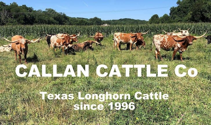 Callan Cattle Co — pasture-raised beef in Newark, OH