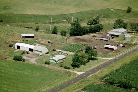 Carney Family Farms — pasture-raised beef in Maxwell, IA