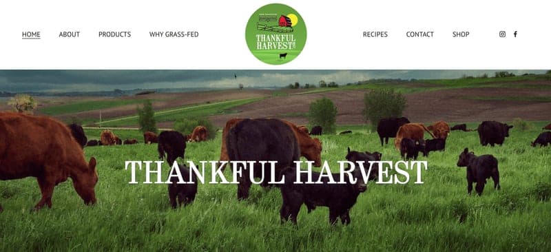certified organic — pasture-raised beef in Holstein, IA