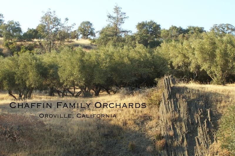 Chaffin Family Orchards — pasture-raised beef in Oroville, CA