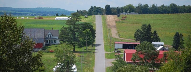 Chase Family Farms — pasture-raised beef in Mapleton, ME