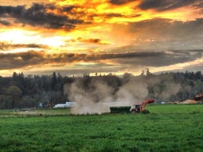 Chinook Farms — pasture-raised beef in Snohomish, WA