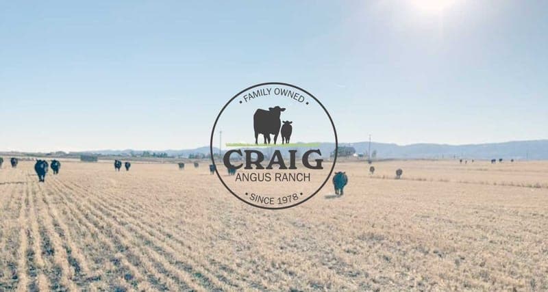 Craig Angus Ranch — pasture-raised beef in Fort Collins, CO