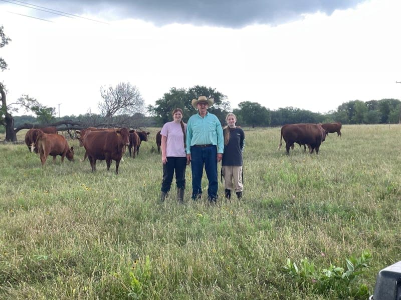 Crawley's Country Beef LLC and Texas Bred Organic Meat — pasture-raised beef in Hubbard, TX