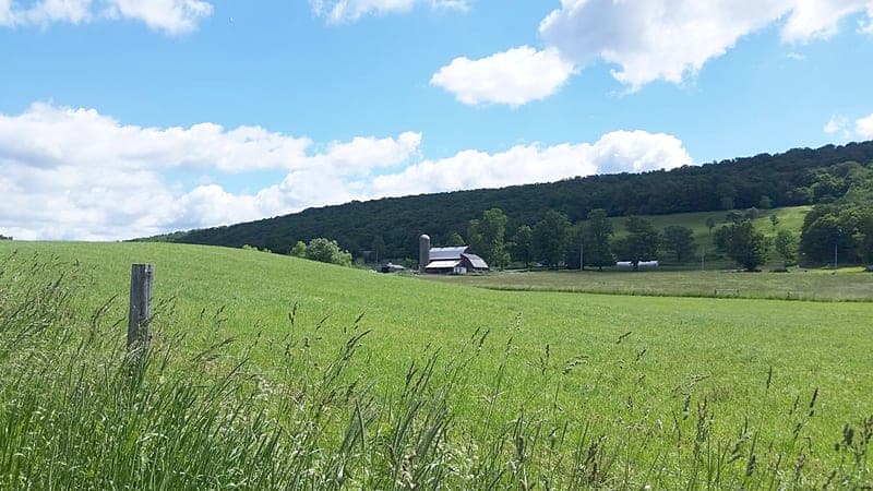 Creekside Meadows Farm — pasture-raised beef in New Woodstock, NY