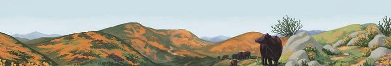 Da-Le Ranch — pasture-raised beef in San Diego, CA