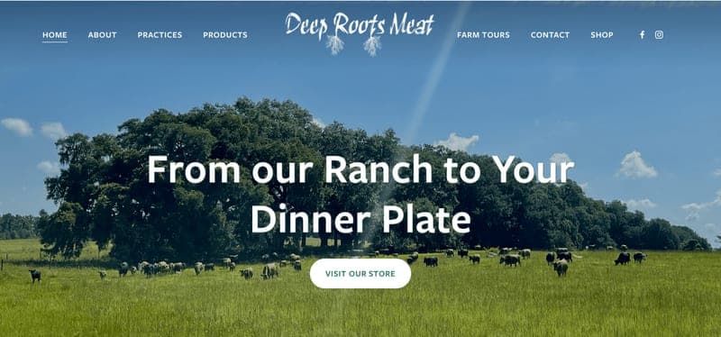 Deep Roots Meat, LLC — pasture-raised beef in Greenville, FL