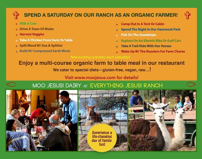 Everything Jesus! Ranch / MooJesus! Dairy — pasture-raised beef in Seguin, TX