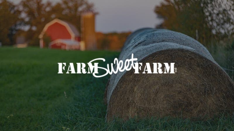 Farm Sweet Farm — pasture-raised beef in Cadott, WI
