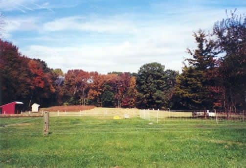 Farview Farm — pasture-raised beef in Flemington, NJ
