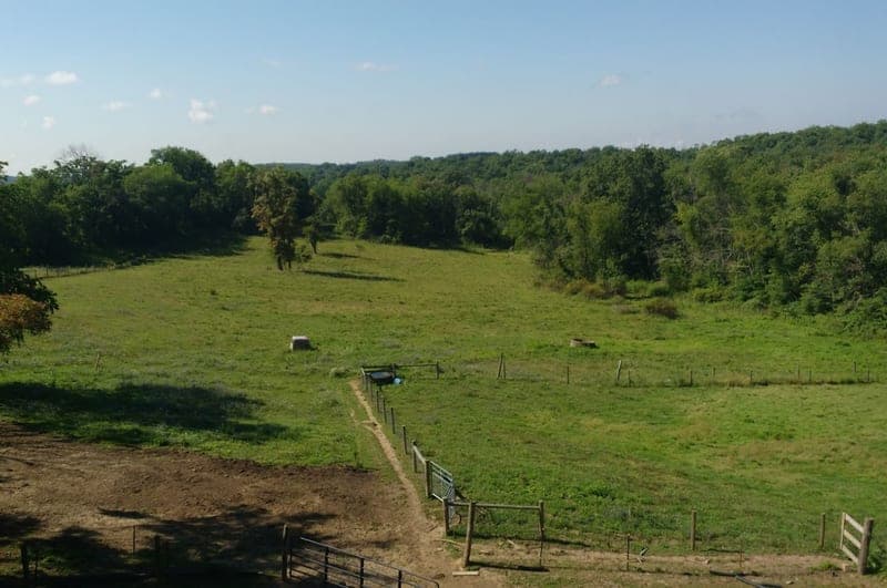 Fidé Farm And Dairy — pasture-raised beef in Toronto, OH