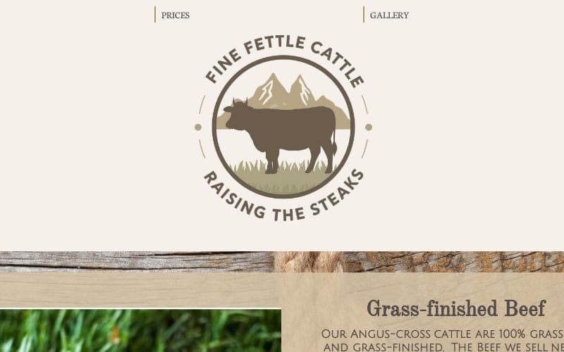 Fine Fettle Cattle — pasture-raised beef in Silver Cliff, CO