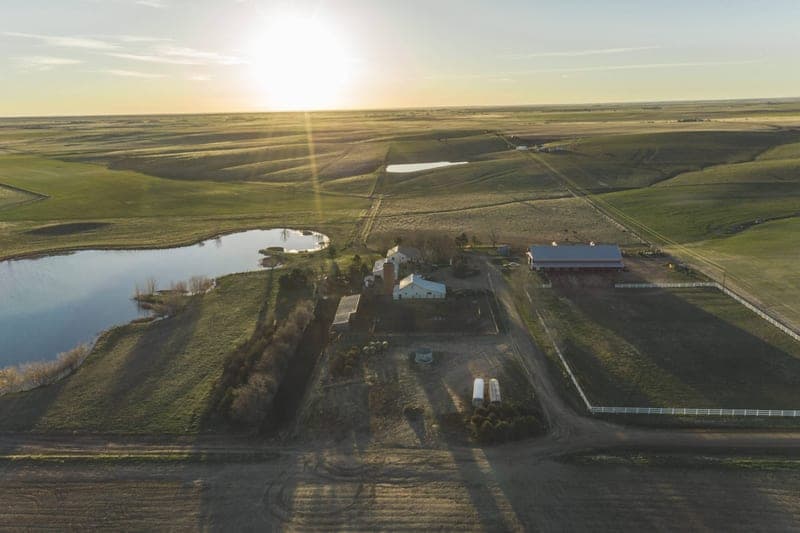Flying B Bar Ranch — pasture-raised beef in Strasburg, CO