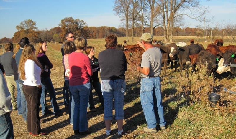 Flying S Beef — pasture-raised beef producer in Palestine, Illinois