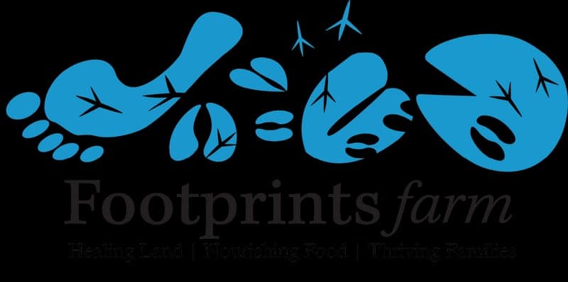 Footprints Farm— — pasture-raised beef in Gibbon Glade, PA