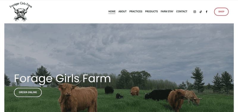 Forage Girls Farm — pasture-raised beef in Hertel, WI