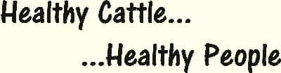Forest Cattle Company — pasture-raised beef in Snohomish, WA