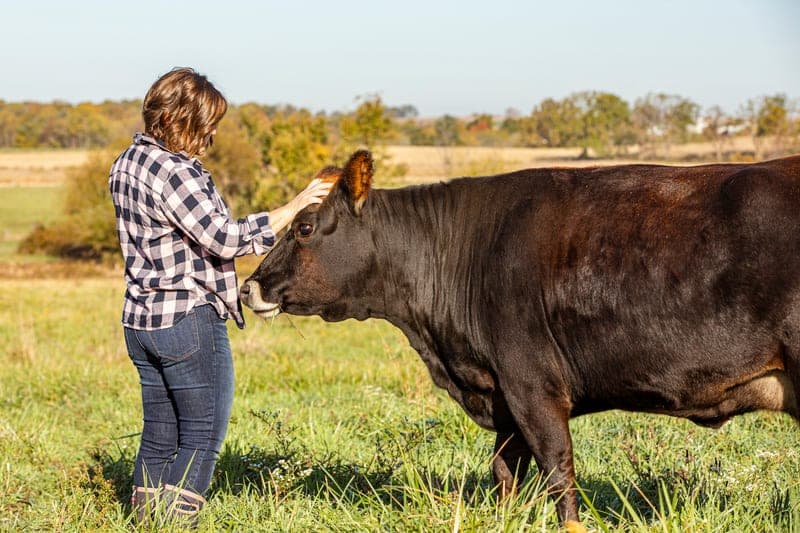 FreshORR Family Farms — pasture-raised beef in Rushville, OH