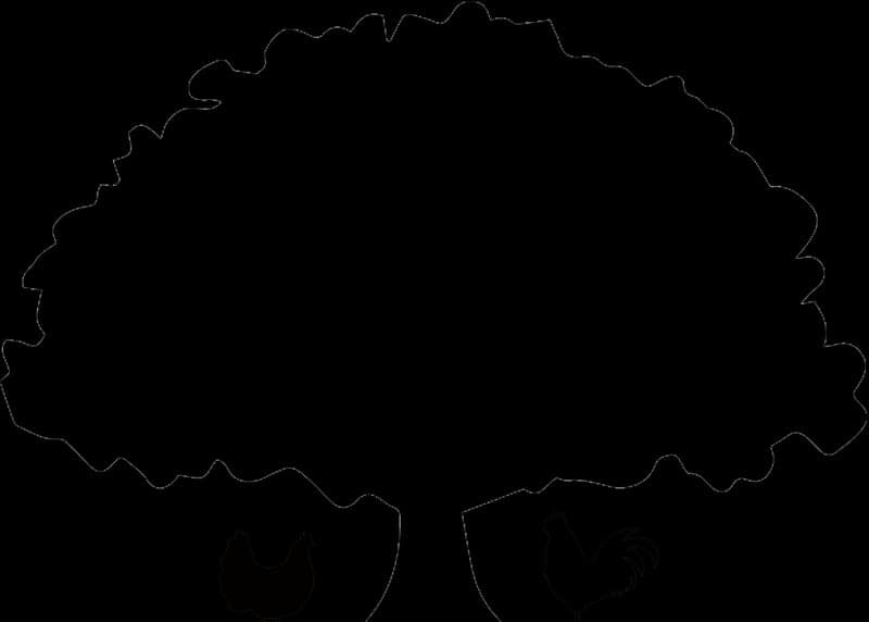 Granddaddy's Farm — pasture-raised beef in Ocilla, GA