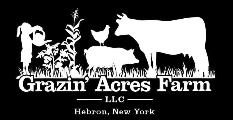 Grazin' Acres Farm — pasture-raised beef in Salem, NY