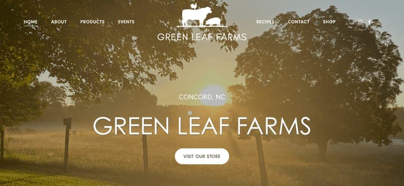 Green Leaf Farms — pasture-raised beef in Concord, NC