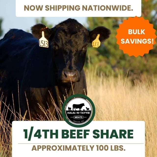 Halal-N-Tayyib Meats — pasture-raised beef in Macon, GA