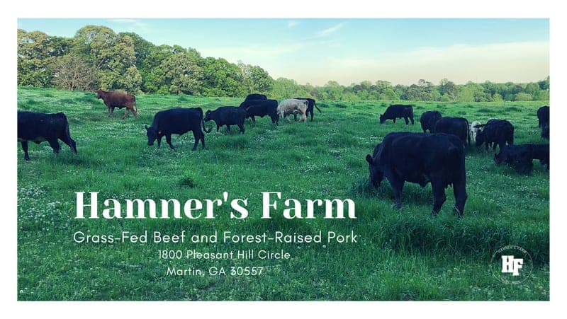 Hamner's Farm — pasture-raised beef in Athens, GA
