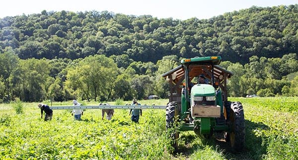 Harmony Valley Farm, LLC. — pasture-raised beef in Viroqua, WI