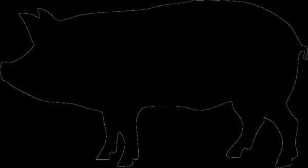 HD Beef Works — pasture-raised beef in Northfield, MN