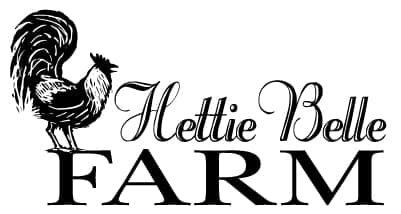 Hettie Belle Farm — pasture-raised beef in Warwick, MA
