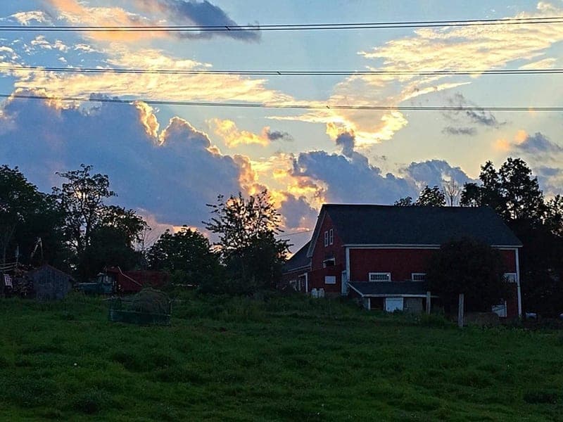 Hickory Hill Farm — pasture-raised beef in Strafford, NH