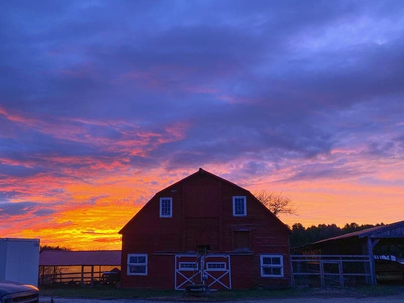 Holiday Brook Farm — pasture-raised beef in Dalton, MA